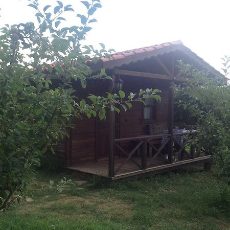 Salkim Konak Ve Agac Evler Guest House Селчук Стая снимка