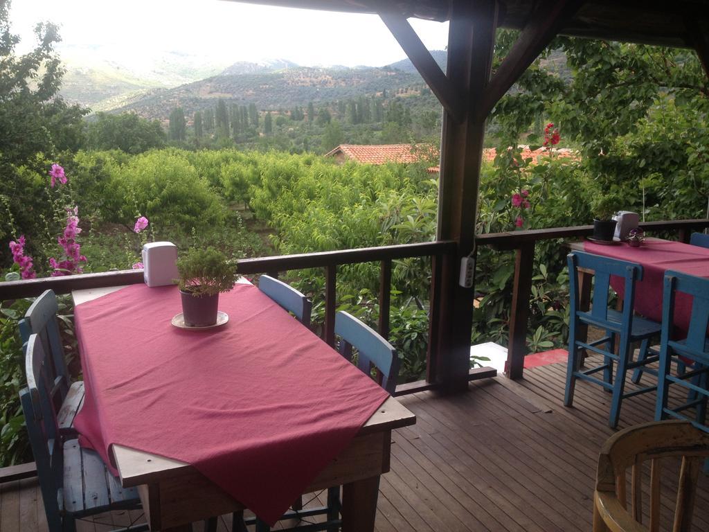 Salkim Konak Ve Agac Evler Guest House Селчук Екстериор снимка
