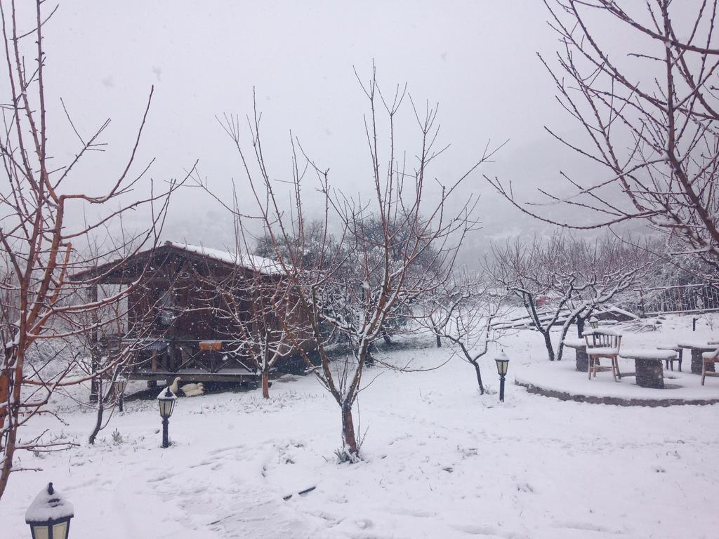 Salkim Konak Ve Agac Evler Guest House Селчук Екстериор снимка