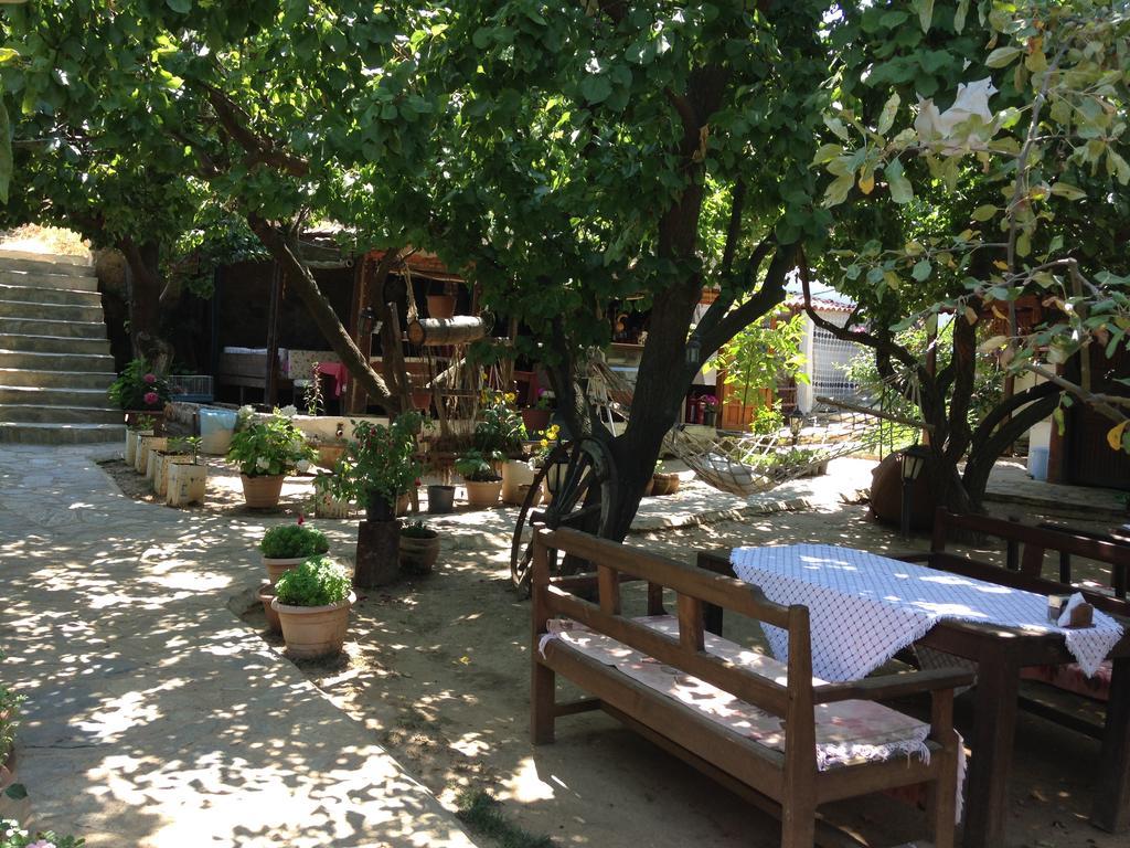 Salkim Konak Ve Agac Evler Guest House Селчук Екстериор снимка